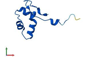 Protein Structure (PS) image for Polymerase (RNA) II (DNA Directed) Polypeptide L, 7.6kDa (POLR2L) (AA 1-67) protein (Fc Tag) (ABIN7551534)