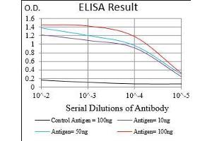 Black line: Control Antigen (100 ng), Purple line: Antigen(10 ng), Blue line: Antigen (50 ng), Red line: Antigen (100 ng), (PAPLN 抗体  (AA 766-870))