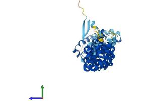 Protein Structure (PS) image for Ataxin 10 (ATXN10) (AA 1-475) protein (His tag) (ABIN7563056)