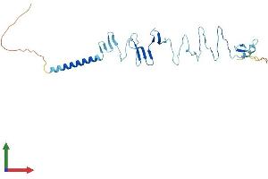 Protein Structure (PS) image for Sarcoglycan, zeta (SGCZ) (AA 1-299) protein (His tag) (ABIN7546016)