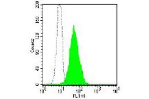 Flow Cytometry (FACS) image for anti-Membrane Metallo-Endopeptidase (MME) antibody (FITC) (ABIN2144486) (MME 抗体  (FITC))