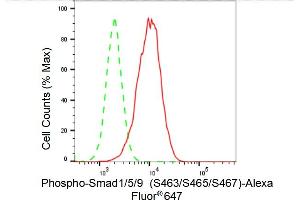 Flow cytometric analysis of Phospho-Smad1/5/9 (S463/S465/S467) expression in HAP-1 cells using Phospho-Smad1/5/9 (S463/S465/S467) antibody (ABIN7800369), 1:2,000).