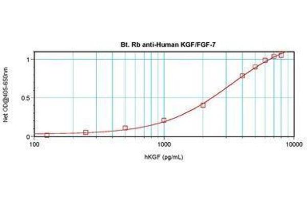 FGF7 抗体  (Biotin)