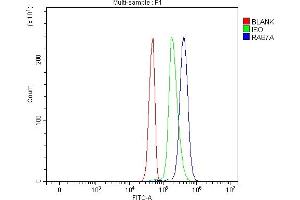 Flow Cytometry analysis of Jurkat cells using anti-RAB7/RAB7A antibody (ABIN7600597). (RAB7A 抗体  (AA 21-177))