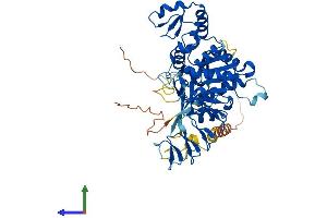 Protein Structure (PS) image for Zinc Finger, CCHC Domain Containing 4 (ZCCHC4) (AA 1-513) protein (His tag) (ABIN7545430)