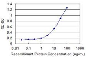 Detection limit for recombinant GST tagged ZP2 is 0. (ZP2 抗体  (AA 400-509))