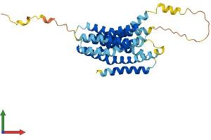 Protein Structure (PS) image for Solute Carrier Family 39 (Zinc Transporter), Member 1 (SLC39A1) (AA 1-324) protein (His tag) (ABIN7545949)