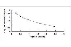 ELISA image for Hyaluronic Acid (HA) ELISA Kit (ABIN1873289)