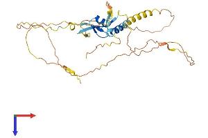 AlphaFold protein structure predicition of Human Recombinant FAM170A Protein, UniprotID A1A519