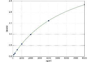 Chemokine-Like Factor (CKLF) ELISA Kit