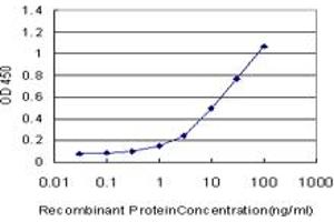 Detection limit for recombinant GST tagged OPHN1 is approximately 0. (Oligophrenin 1 抗体  (AA 641-734))