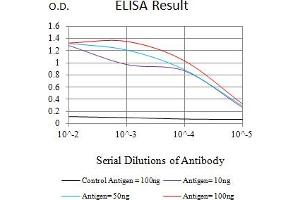 Black line: Control Antigen (100 ng),Purple line: Antigen (10 ng), Blue line: Antigen (50 ng), Red line:Antigen (100 ng) (Prosaposin 抗体  (AA 17-216))