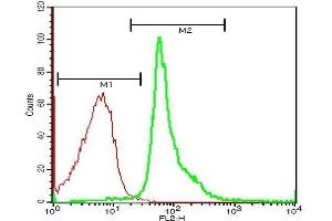 Flow Cytometry (FACS) image for anti-Nuclear Receptor Subfamily 3, Group C, Member 1 (Glucocorticoid Receptor) (NR3C1) (AA 231-320) antibody (ABIN726875)