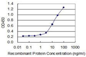 Detection limit for recombinant GST tagged CRH is 0. (CRH 抗体  (AA 154-196))