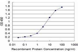 Detection limit for recombinant GST tagged SMAD7 is approximately 0. (SMAD7 抗体  (AA 160-260))