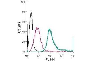 Cell surface detection of NK1R in live intact mouse J774 macrophage cells: (black line) Cells. (TACR1 抗体  (2nd Extracellular Loop) (FITC))