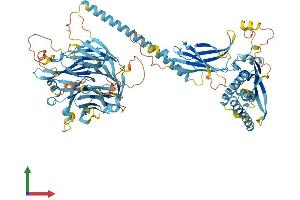 Protein Structure (PS) image for Chromosome 17 Open Reading Frame 70 (C17ORF70) (AA 1-881) protein (His tag) (ABIN7553942)