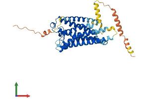 Protein Structure (PS) image for Prostaglandin F Receptor (FP) (PTGFR) (AA 1-366) protein (His tag) (ABIN7563253)