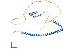 Protein Structure (PS) image for Hexamthylene Bis-Acetamide Inducible 2 (HEXIM2) (AA 1-286) protein (His tag) (ABIN7548266)