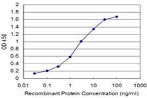 Detection limit for recombinant GST tagged TAOK3 is approximately 0. (TAO Kinase 3 抗体  (AA 809-898))
