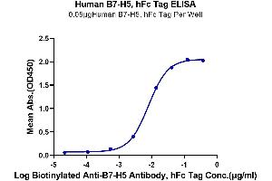 ELISA image for V-Set Domain Containing T Cell Activation Inhibitor 1 (VTCN1) (AA 33-194) protein (Fc Tag) (ABIN7273962)