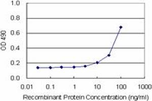 Sandwich ELISA detection sensitivity ranging from 10 ng/mL to 100 ng/mL. (BST2 (人) Matched Antibody Pair)