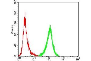 Flow cytometric analysis of Jurkat cells using IL1A mouse mAb (green) and negative control (red).