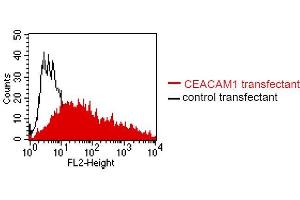 FACS analysis of BOSC23 cells using 4/3/17. (CEACAM1/5 抗体)