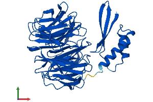 Protein Structure (PS) image for WD Repeat Domain 69 (WDR69) (AA 1-415) protein (His tag) (ABIN7547027)