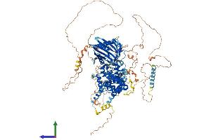 Protein Structure (PS) image for StAR-Related Lipid Transfer (START) Domain Containing 13 (STARD13) (AA 1-1113) protein (His tag) (ABIN7555650)