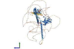 Protein Structure (PS) image for Tripartite Motif Containing 37 (TRIM37) (AA 1-964) protein (His tag) (ABIN7555842)