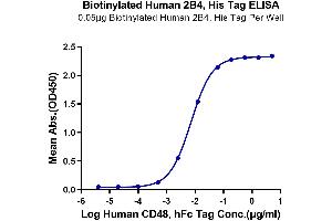 ELISA image for Natural Killer Cell Receptor 2B4 (CD244) (AA 22-221) protein (His-Avi Tag,Biotin) (ABIN7273782)