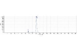 anti-GCGR (Crotedumab Biosimilar) antibody