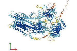 AlphaFold protein structure predicition of Mouse Recombinant Atp8b1 Protein, UniprotID Q148W0