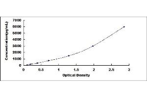 Typical standard curve