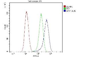 Flow Cytometry analysis of U87 cells using anti- GPX1 antibody (ABIN6719520).