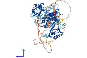 Protein Structure (PS) image for Epithelial Splicing Regulatory Protein 1 (ESRP1) (AA 1-680) protein (His tag) (ABIN7563749)