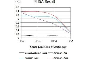 Black line: Control Antigen (100 ng),Purple line: Antigen (10 ng), Blue line: Antigen (50 ng), Red line:Antigen (100 ng) (FUT3 抗体  (AA 199-361))