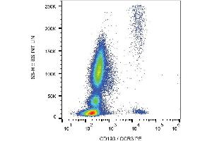 Surface staining of CD193 in human peripheral blood with anti-human CD193 (5E8) PE. (CCR3 抗体  (PE))