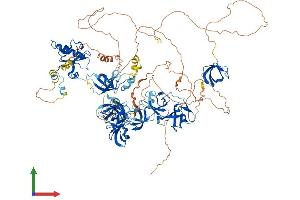 Protein Structure (PS) image for Transcription Elongation Factor SPT5 (SUPT5H) (AA 1-1082) protein (His tag) (ABIN7562495)