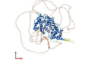 AlphaFold protein structure predicition of Human Recombinant PARG Protein, UniprotID Q86W56