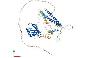Protein Structure (PS) image for TAF7-Like RNA Polymerase II, TATA Box Binding Protein (TBP)-Associated Factor, 50kDa (TAF7L) (AA 1-462) protein (His tag) (ABIN7544112)