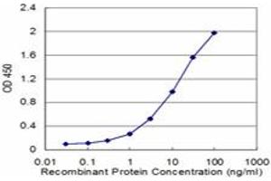 Detection limit for recombinant GST tagged CEACAM1 is approximately 0. (CEACAM1 抗体  (AA 305-414))