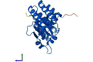 Protein Structure (PS) image for OTU Domain, Ubiquitin Aldehyde Binding 2 (OTUB2) (AA 1-234) protein (His tag) (ABIN7560585)