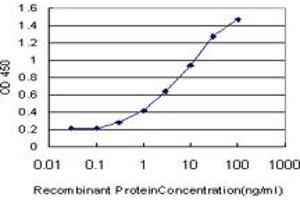 Detection limit for recombinant GST tagged HSPBAP1 is approximately 0. (HSPBAP1 抗体  (AA 1-488))