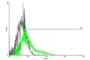 FACS analysis of negative control 293 cells (Black) and IL13RA2 expressing 293 cells (Green) using IL13RA2 purified MaxPab mouse polyclonal antibody. (IL13RA2 抗体  (AA 1-380))