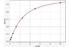 Typical standard curve (SYT1 ELISA 试剂盒)