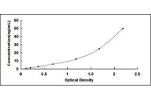 Typical standard curve (LAMB2 ELISA 试剂盒)