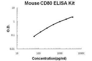 Mouse B7-1/CD80 PicoKine ELISA Kit standard curve (CD80 ELISA 试剂盒)