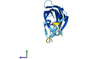 AlphaFold protein structure predicition of Mouse Recombinant B9d2 Protein, UniprotID Q3UK10